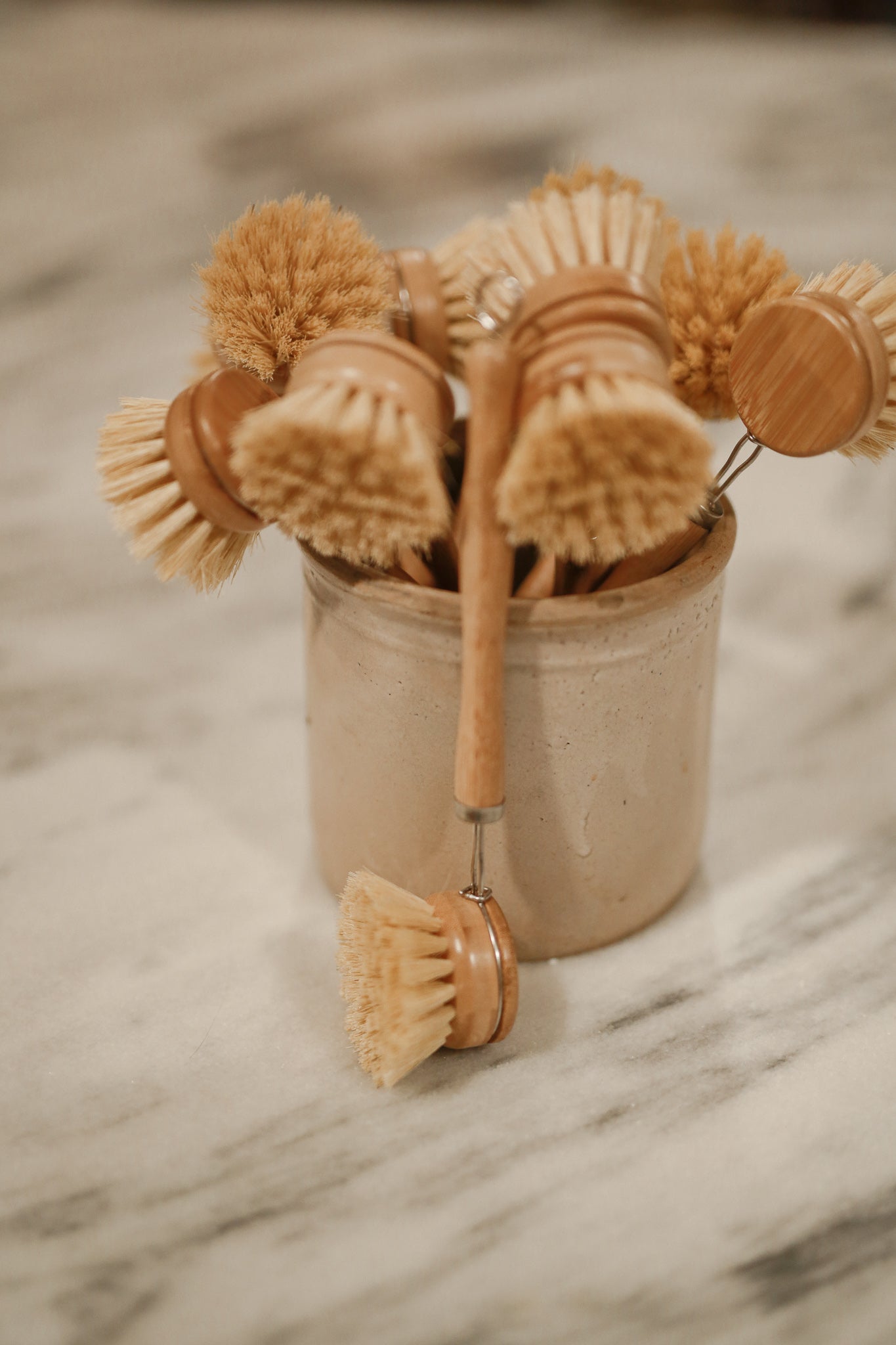 Bamboo Handled Sisal Dish Brush