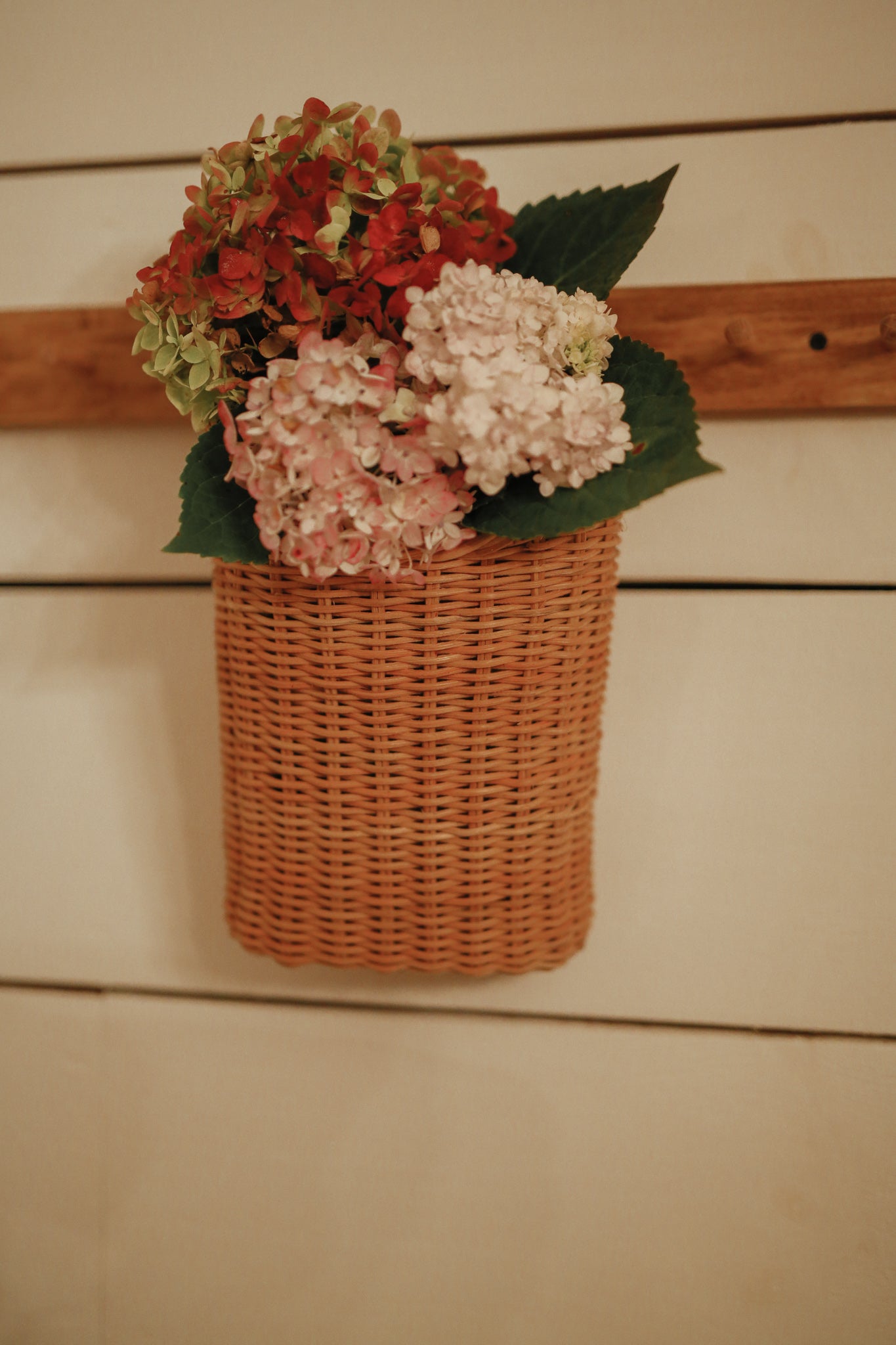 Rattan Hanging Basket