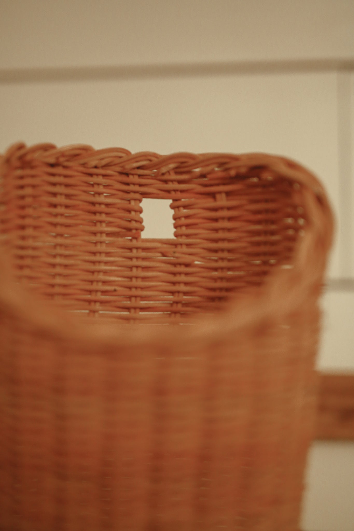 Rattan Hanging Basket